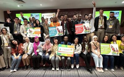 Classificação por estrelas para escolas: Cinco anos de impacto global