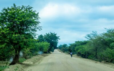 Malawi invertirá para reforzar la seguridad vial en las comunidades escolares.